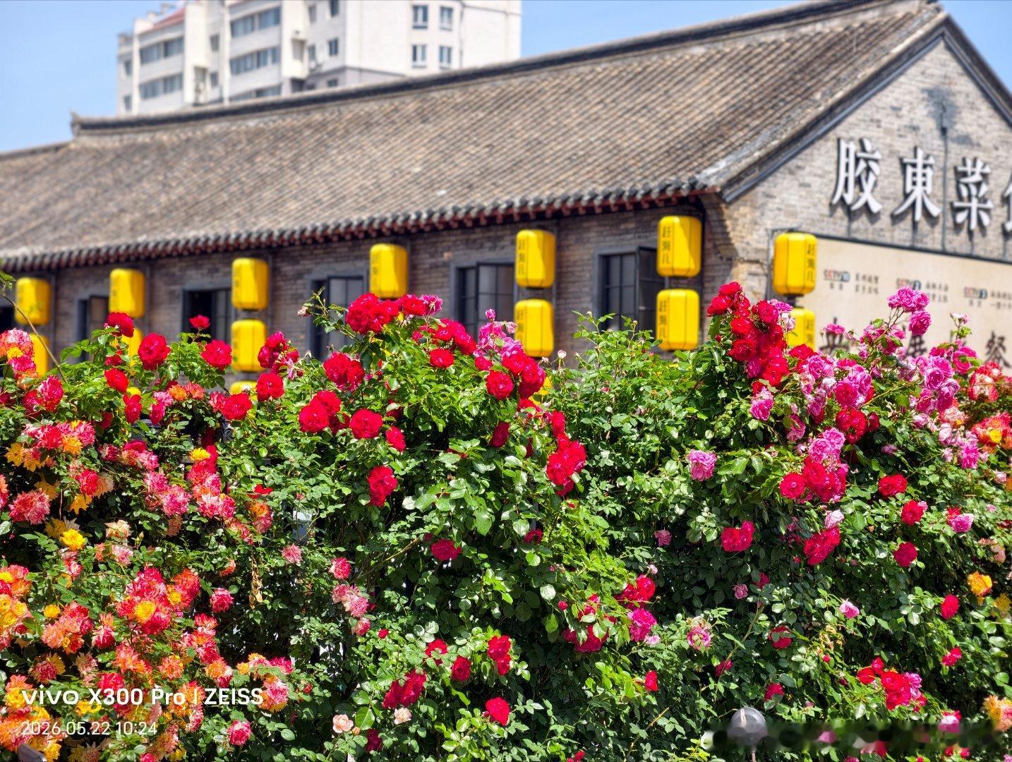 成长是硬着头皮去做一万件讨厌的事、花费大量时间在无用功上，以及结识一些不相干甚至