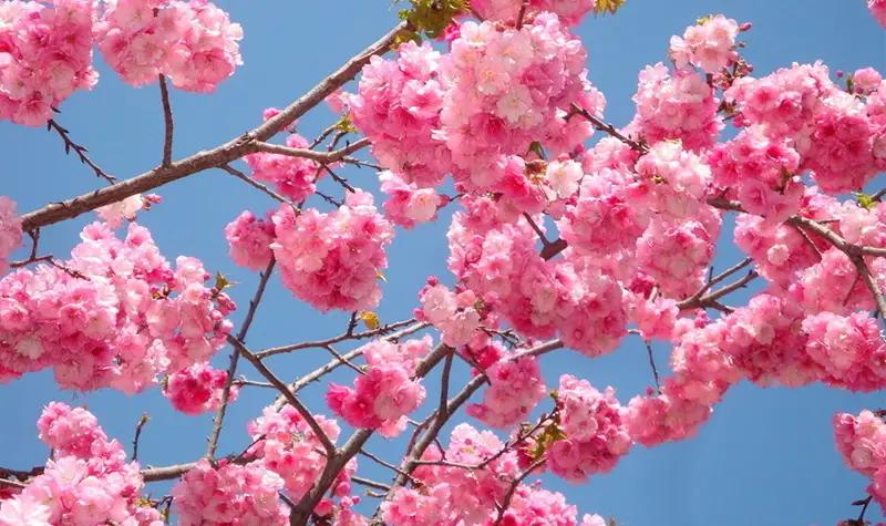 时光倒流？不，我要先学会“爱自己”

今儿咱们说说一桩藏在无数人心底的“假如”。