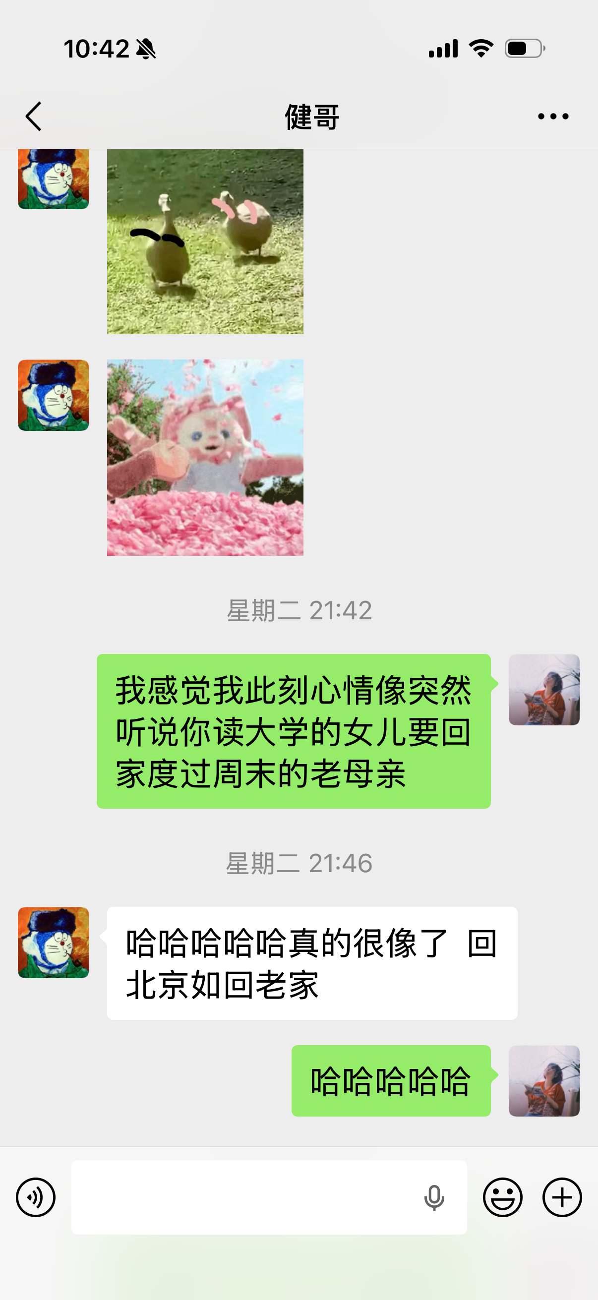 健哥回北京出个差，我十分雀跃，张罗着做她爱吃的，完全老母亲～ 