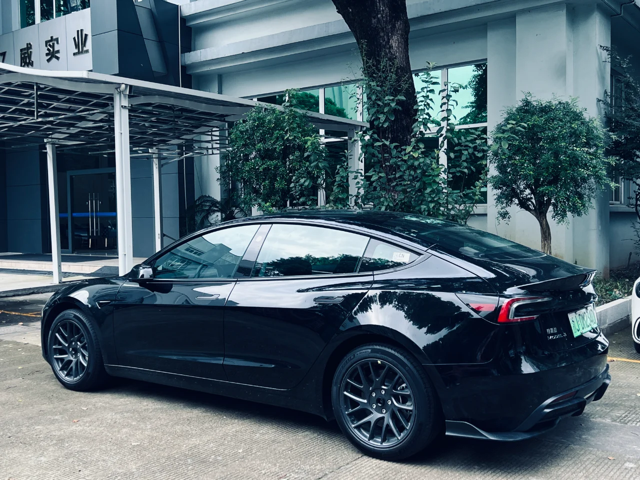 性感的小屁股   你不想摸一下吗