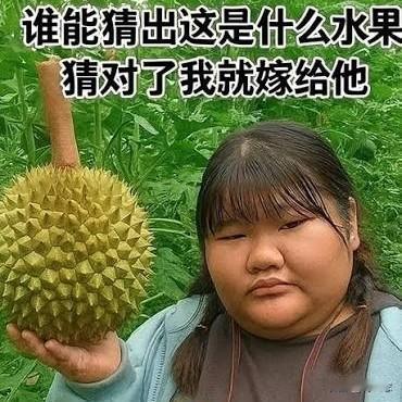 看图猜水果，我猜是哈密瓜！