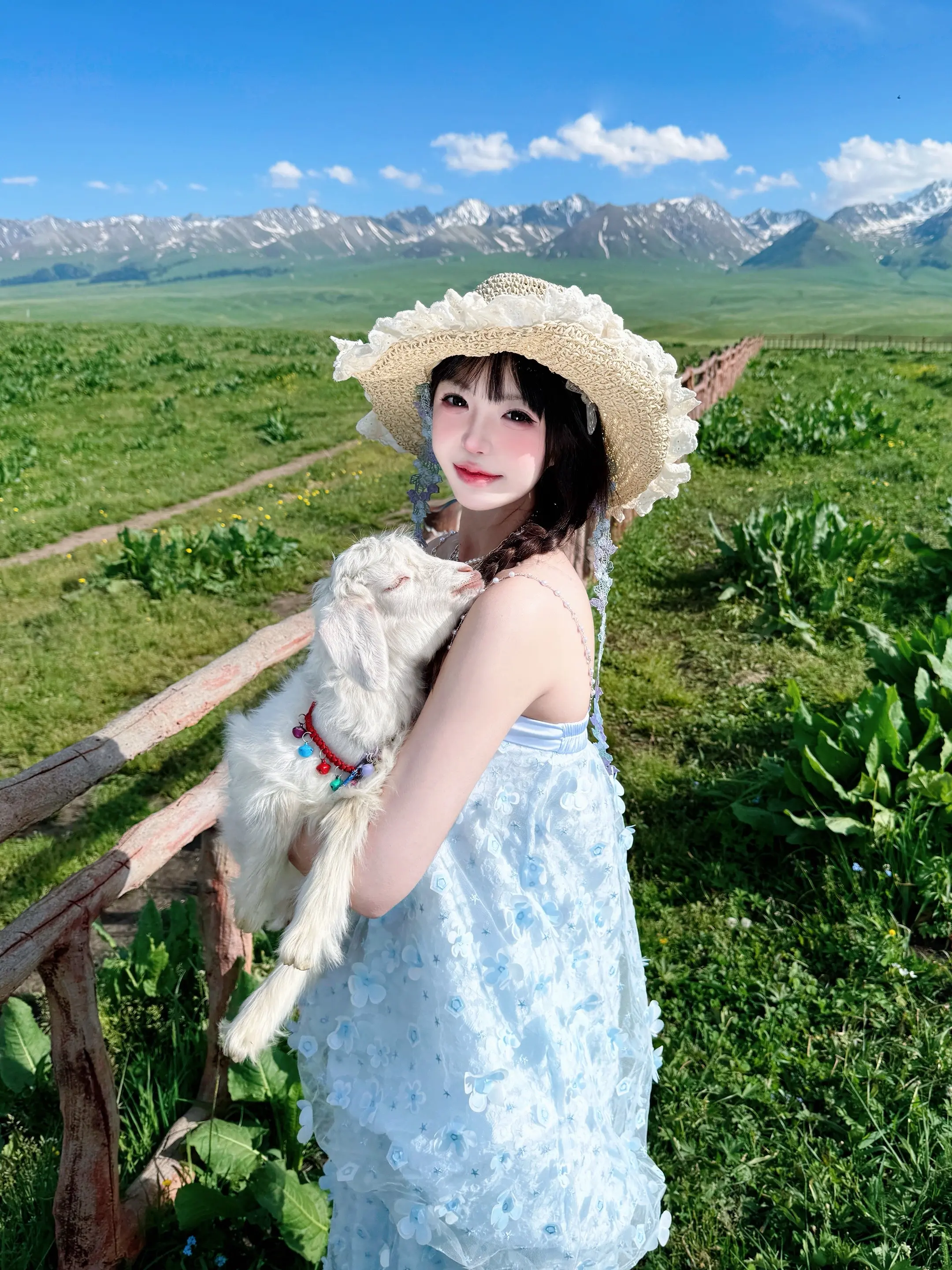 ☁️乖乖小羊