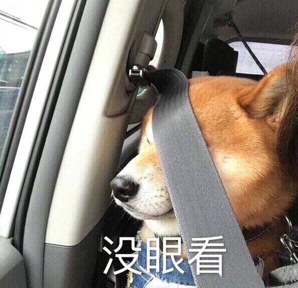 成毅没有出现的内娱，我真的眼前一黑又眼前一黑，没有任何兴趣[无聊]一看一个没眼看