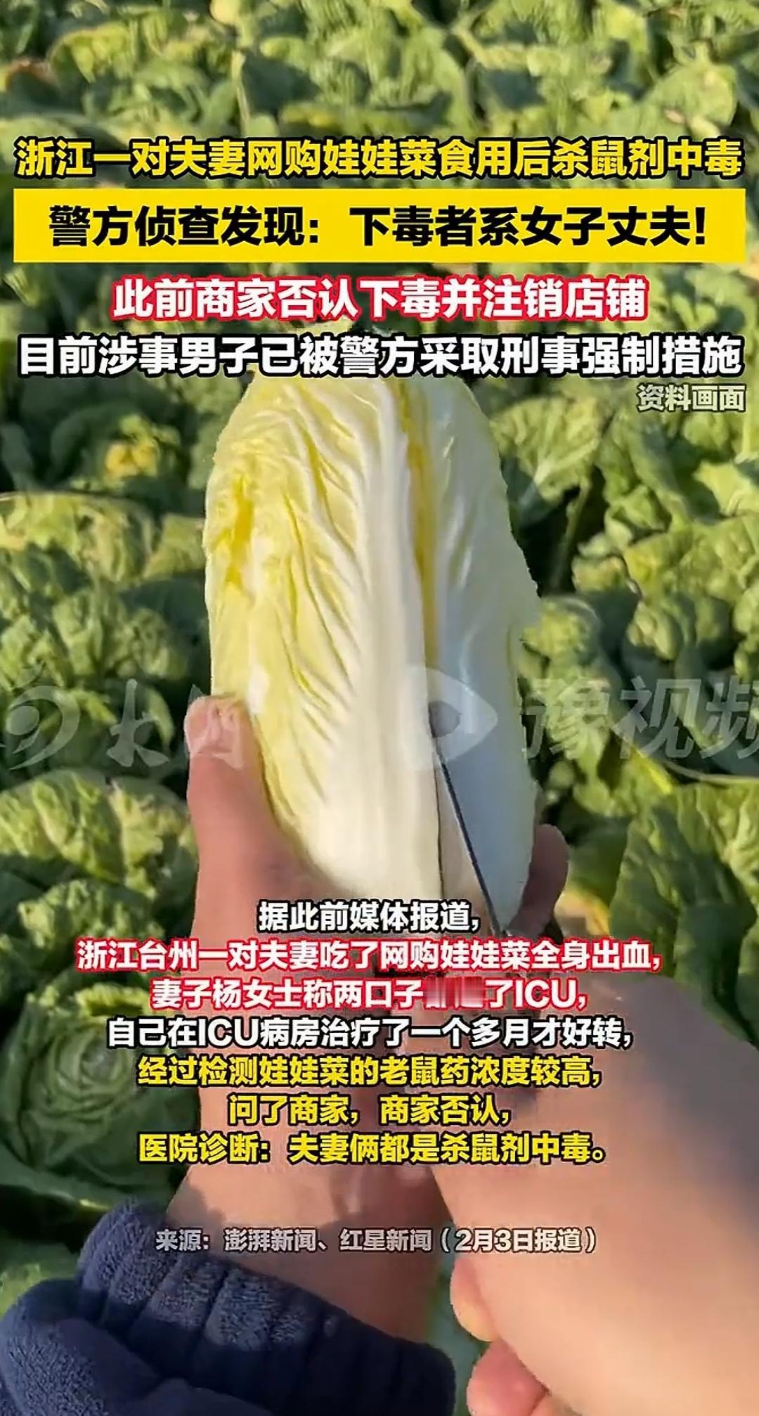 网购娃娃菜中毒翻转了，是夫妻自己下毒，为了骗赔偿。要说还是台州人狠啊，自己给自己