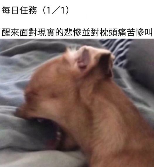 [嘻嘻] ​​​