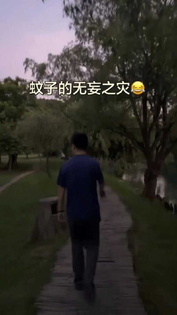 笑不活了，一个男子专门花30块买了把电蚊拍，特意挑晚上去公园散步，边走边挥拍子，