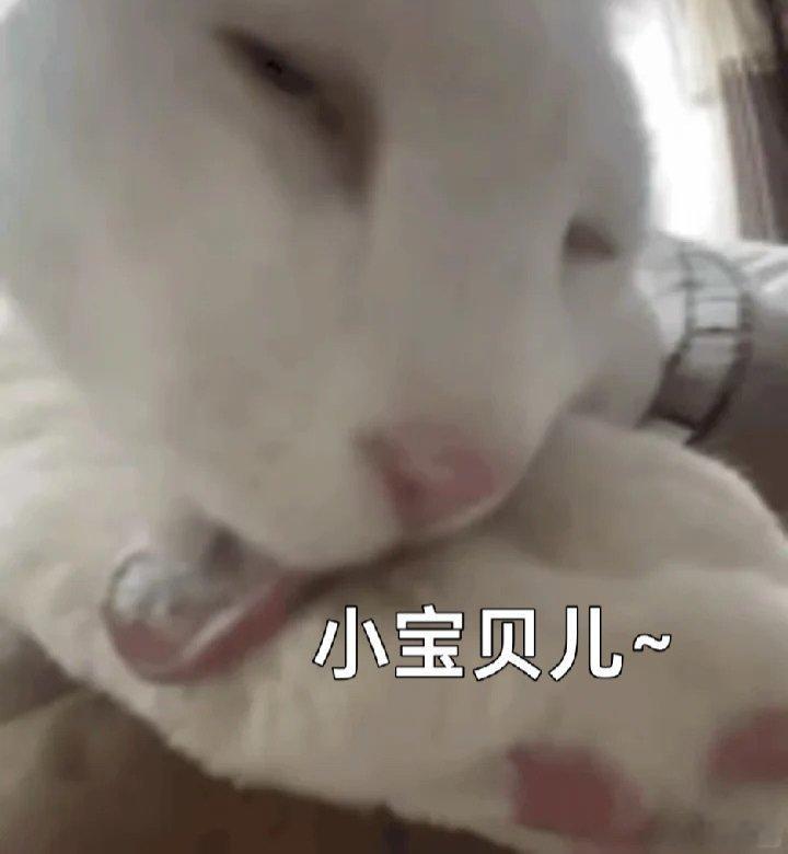 晚上好爱瑞万(￣3￣) ​​​