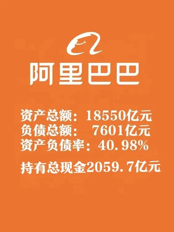 阿里巴巴在手现金2059.7亿元，也太有钱了吧！
根据公司披露的2024年第四季