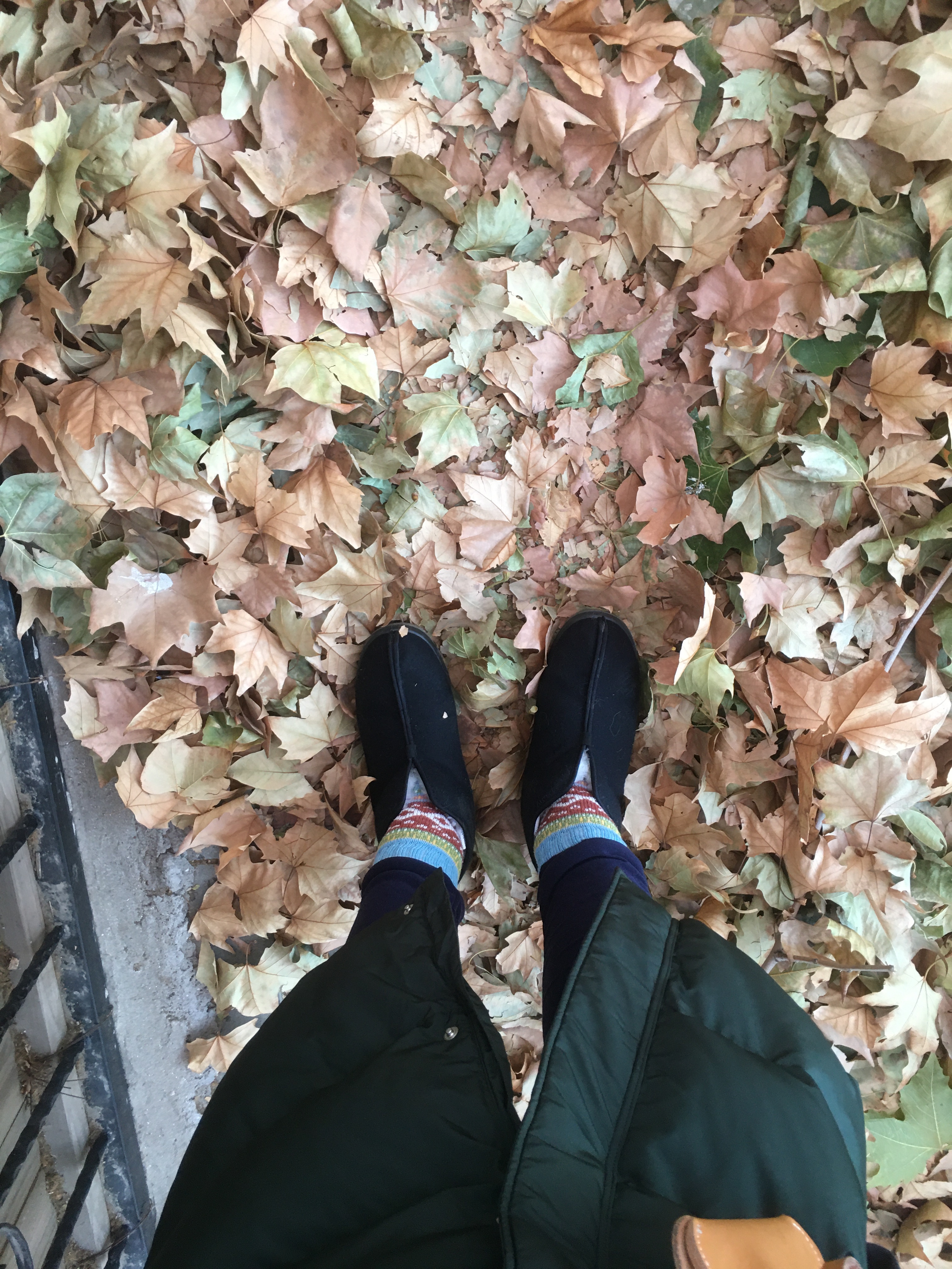 就爱老传统 
