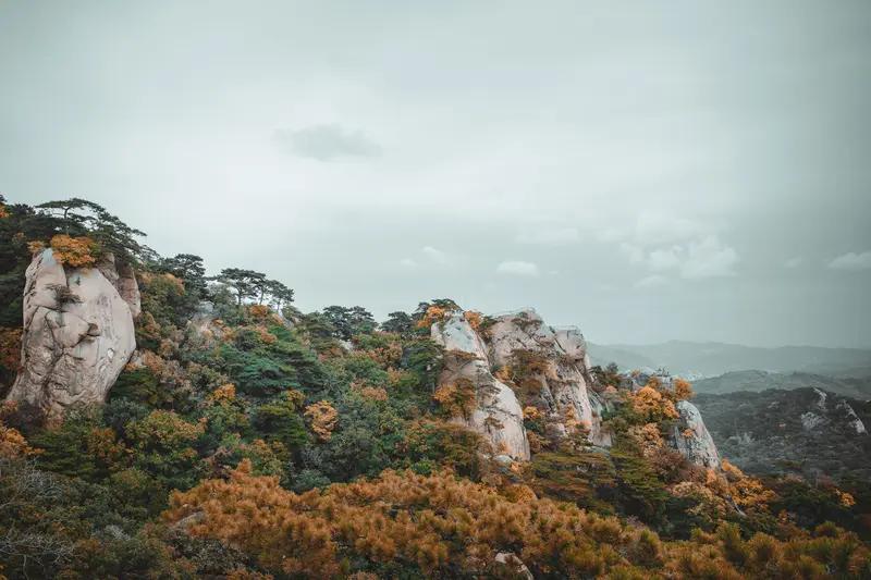 AI妙生图春风执笔千山秀。