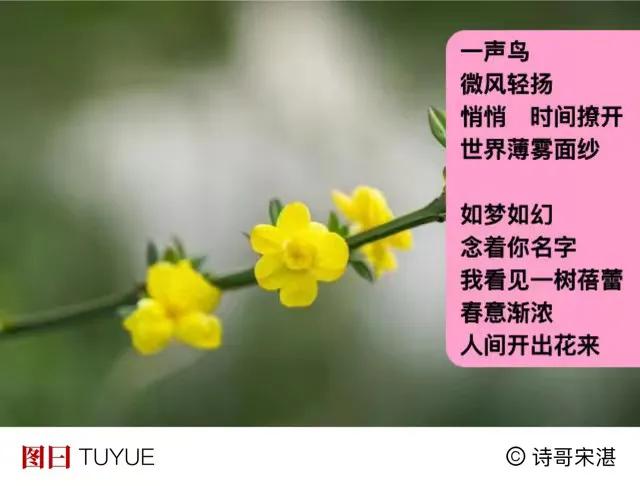 一朵花开着
小小蓓蕾
好像与另一朵
说着什么
．
如同我们
心里一荡一荡
说着春