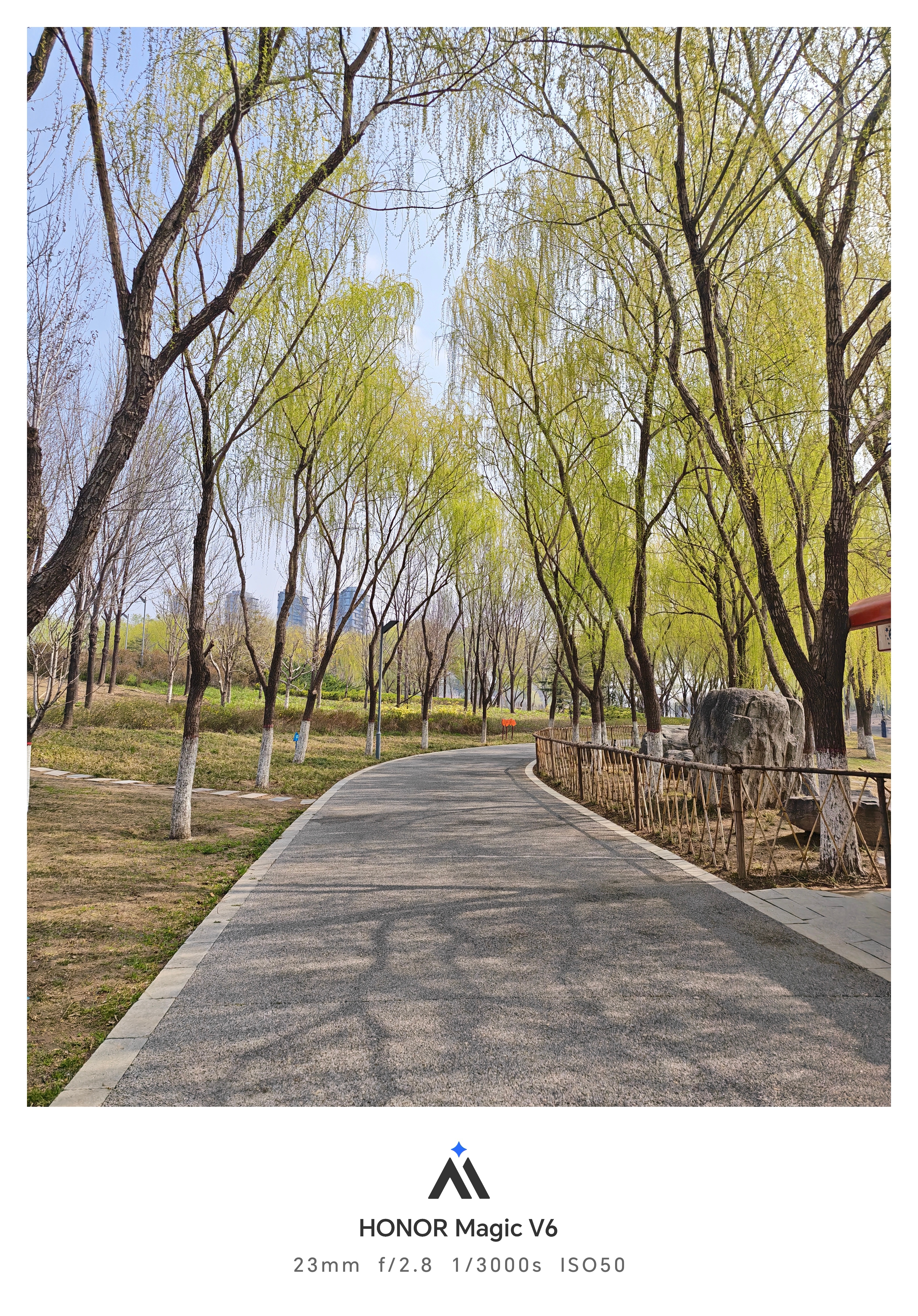 柳树已发芽，忍不住就想出去溜达溜达～ 