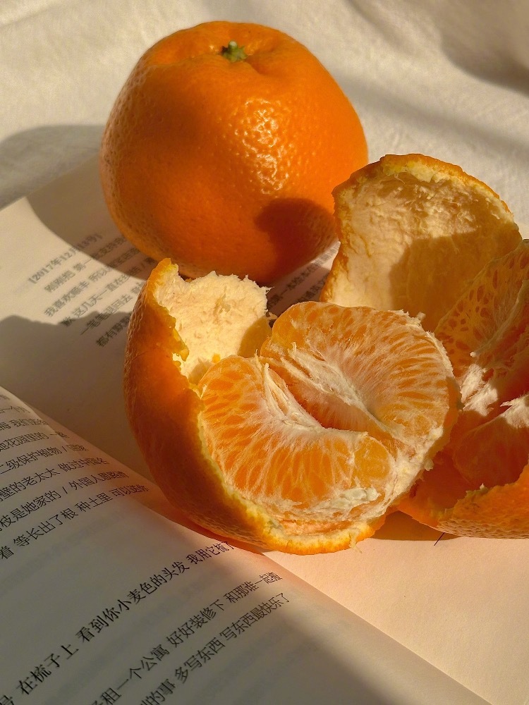 近期｜冬日暖阳🍊📖🫧 吃橘子 晒太阳 看书冬天宅家真的太幸福了珍惜独处时刻