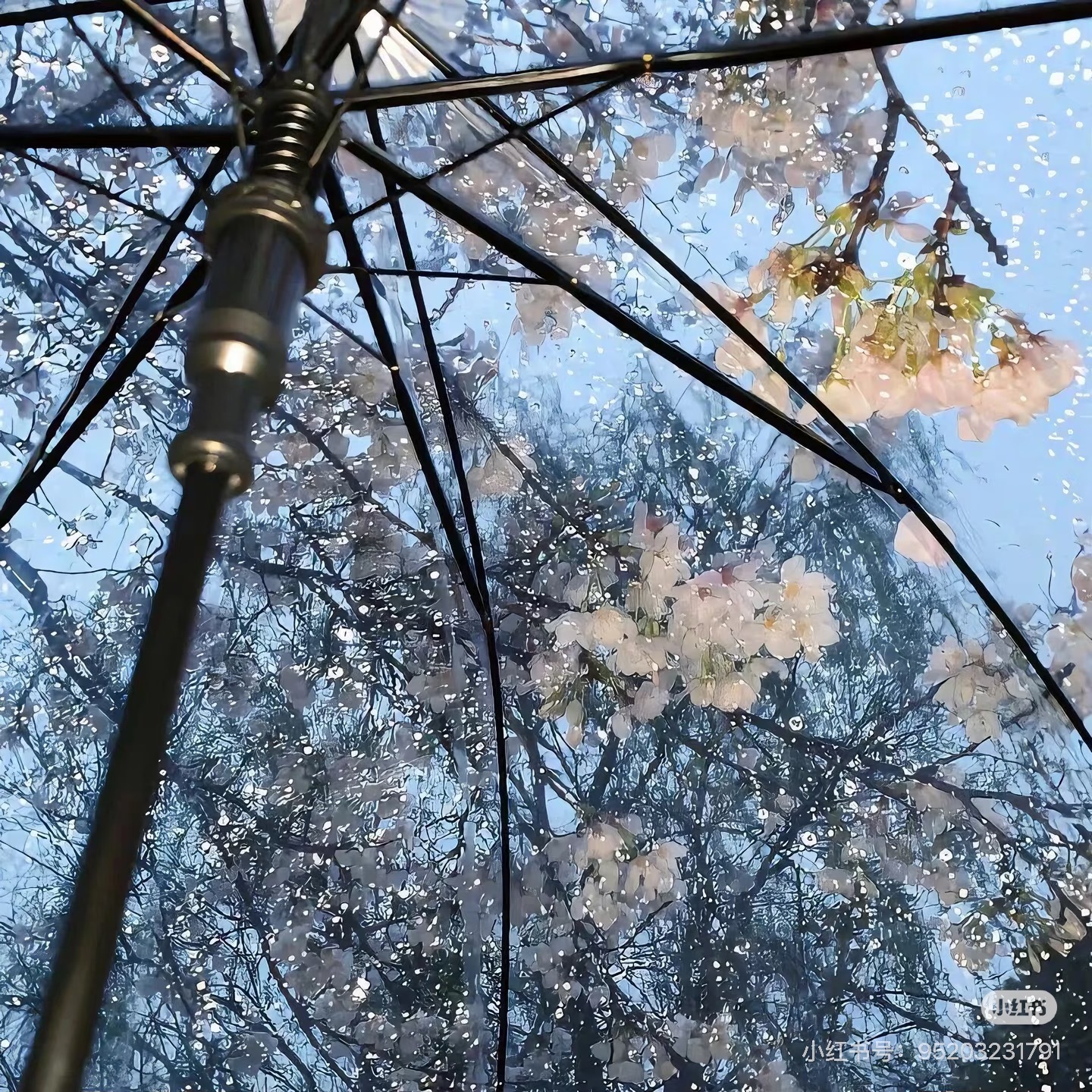 你很自由，充满了无限可能。这是很棒的事。我衷心祈祷你可以相信自己，无悔地燃烧自己