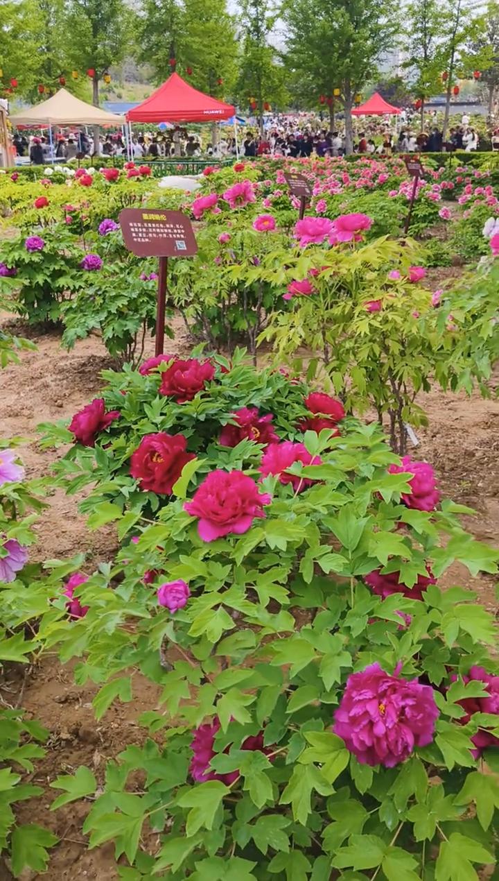 我们无法拍到过去，也无法拍到未来，却可以定格每一个珍贵的当下。用镜头留存时光，把