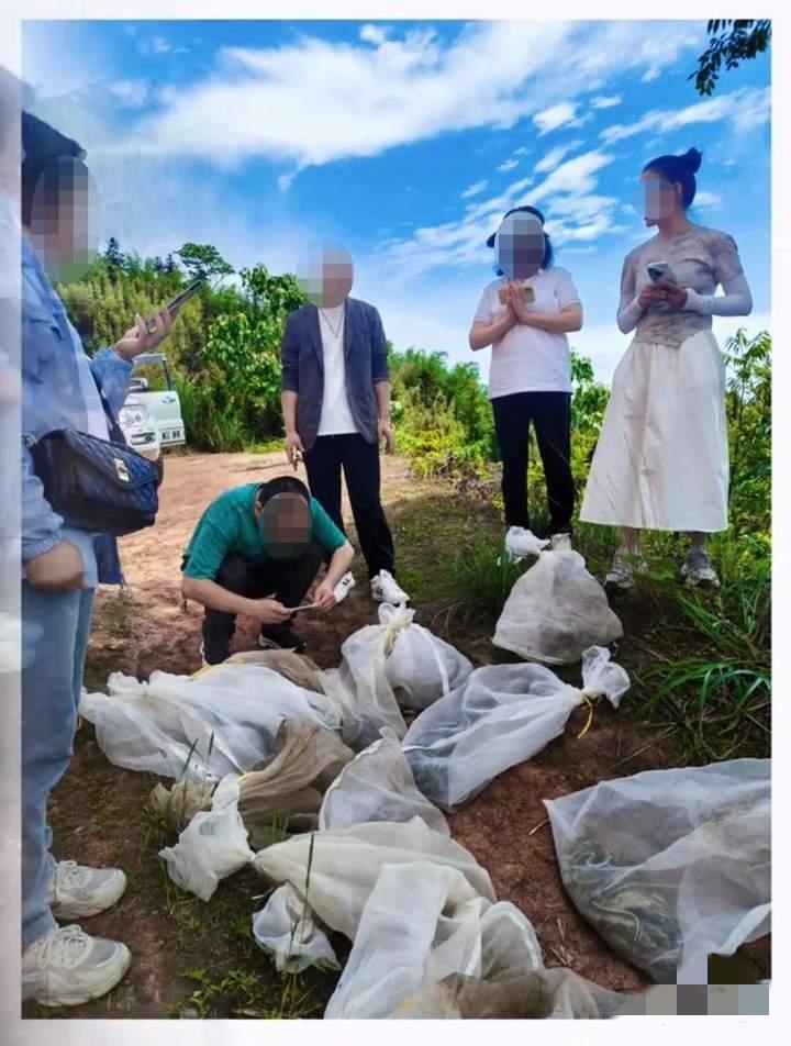 这哪是积德行善，分明是造孽添堵！把十几袋蛇往人家村口一倒，自己拍视频感动哭了，村
