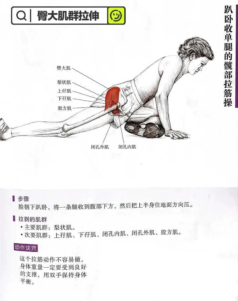 臀大肌拉伸✅告别扁平臀，轻松练出蜜桃臀🍑