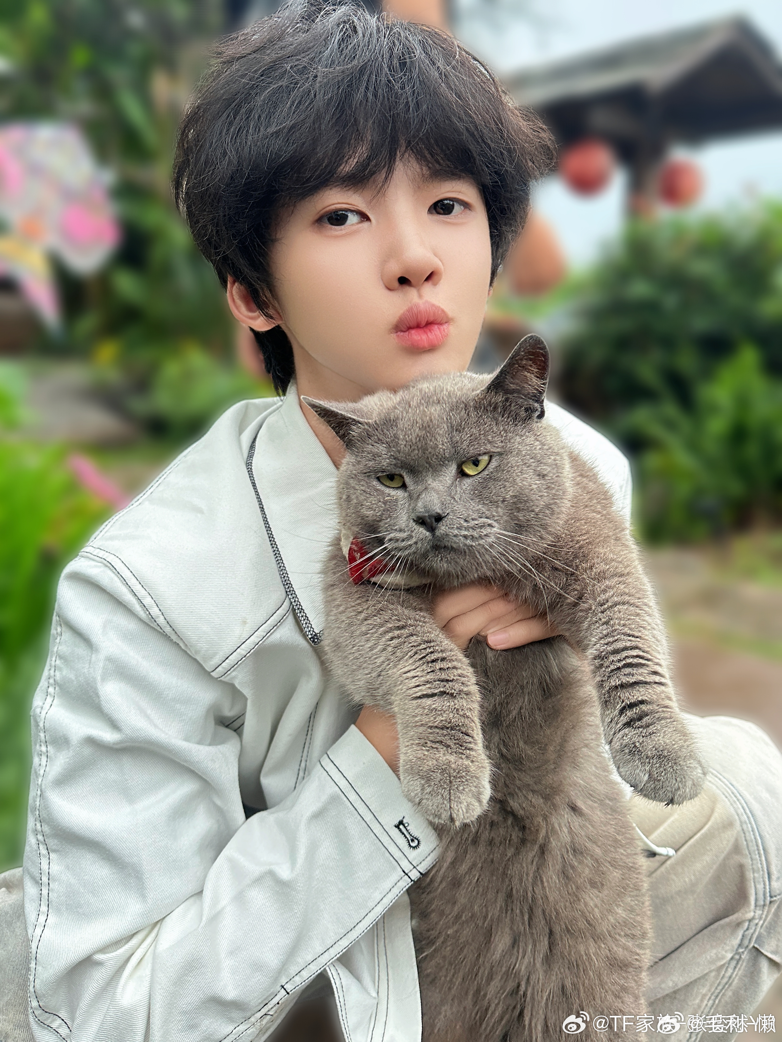 张奕然你没看出来这猫很不情愿吗 快换我来