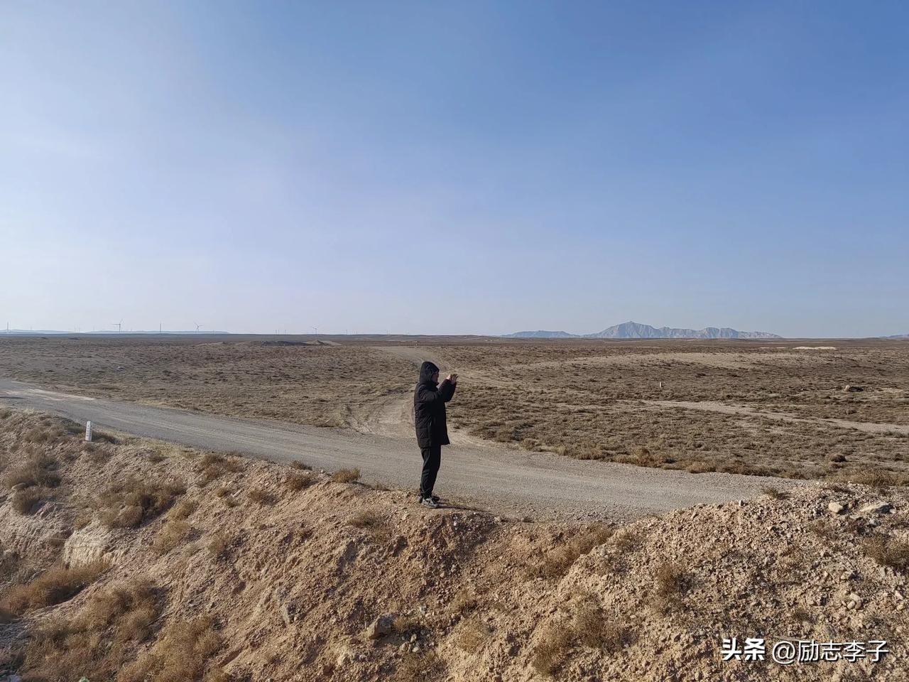 吴忠市鹅喉羚种群资源调查丗亲子教育 累了，没拼劲了，没目标了，卷完自已，卷孩子。