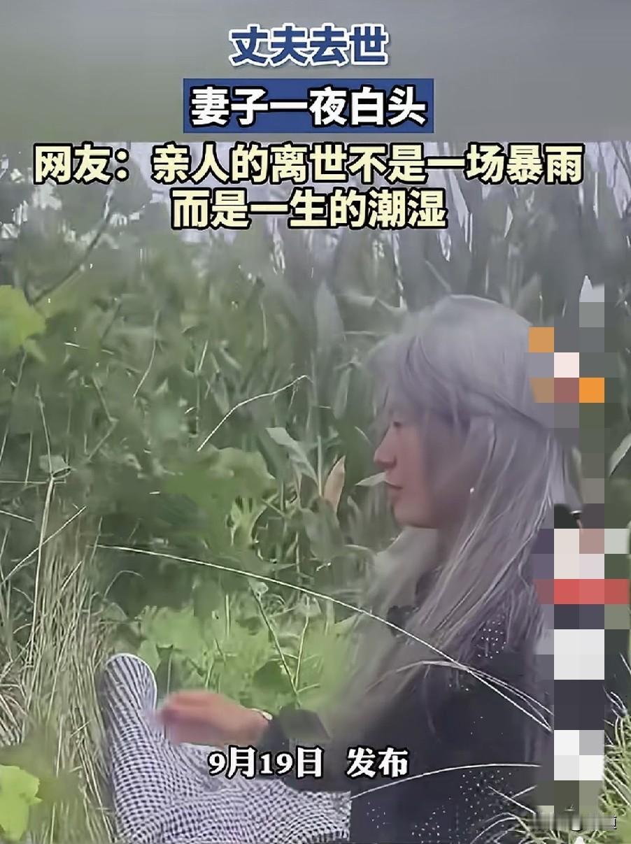 丈夫去世，妻子一夜白头。
我分析她白头的原因有两个。
一个是夫妻俩感情深厚，早已