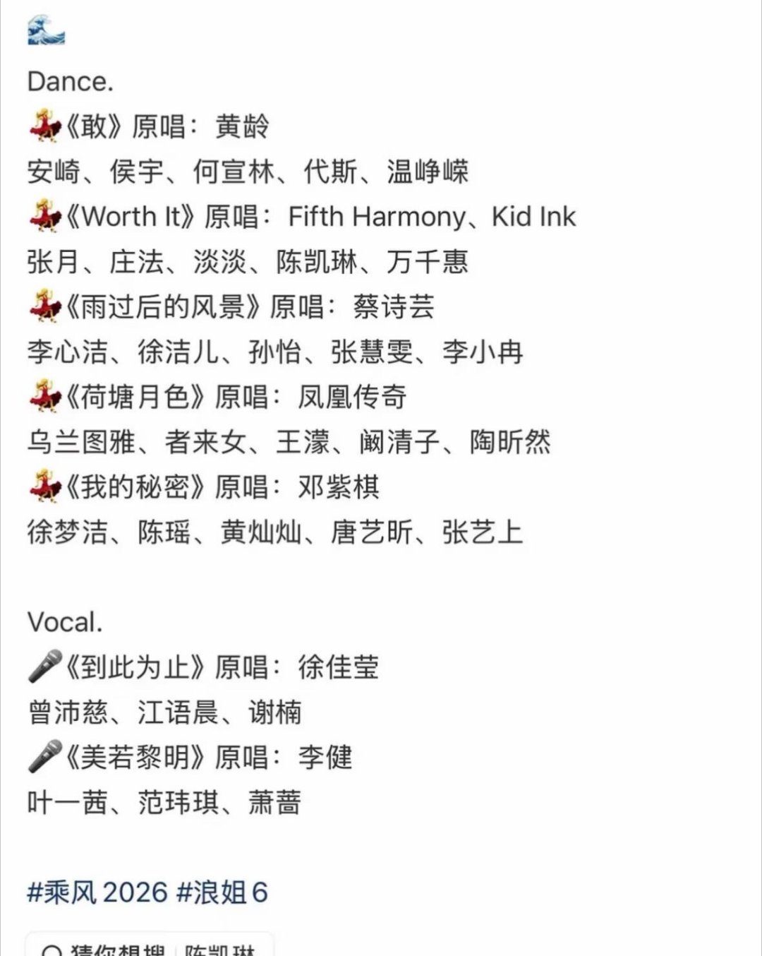 疑似乘风二公组队名单 