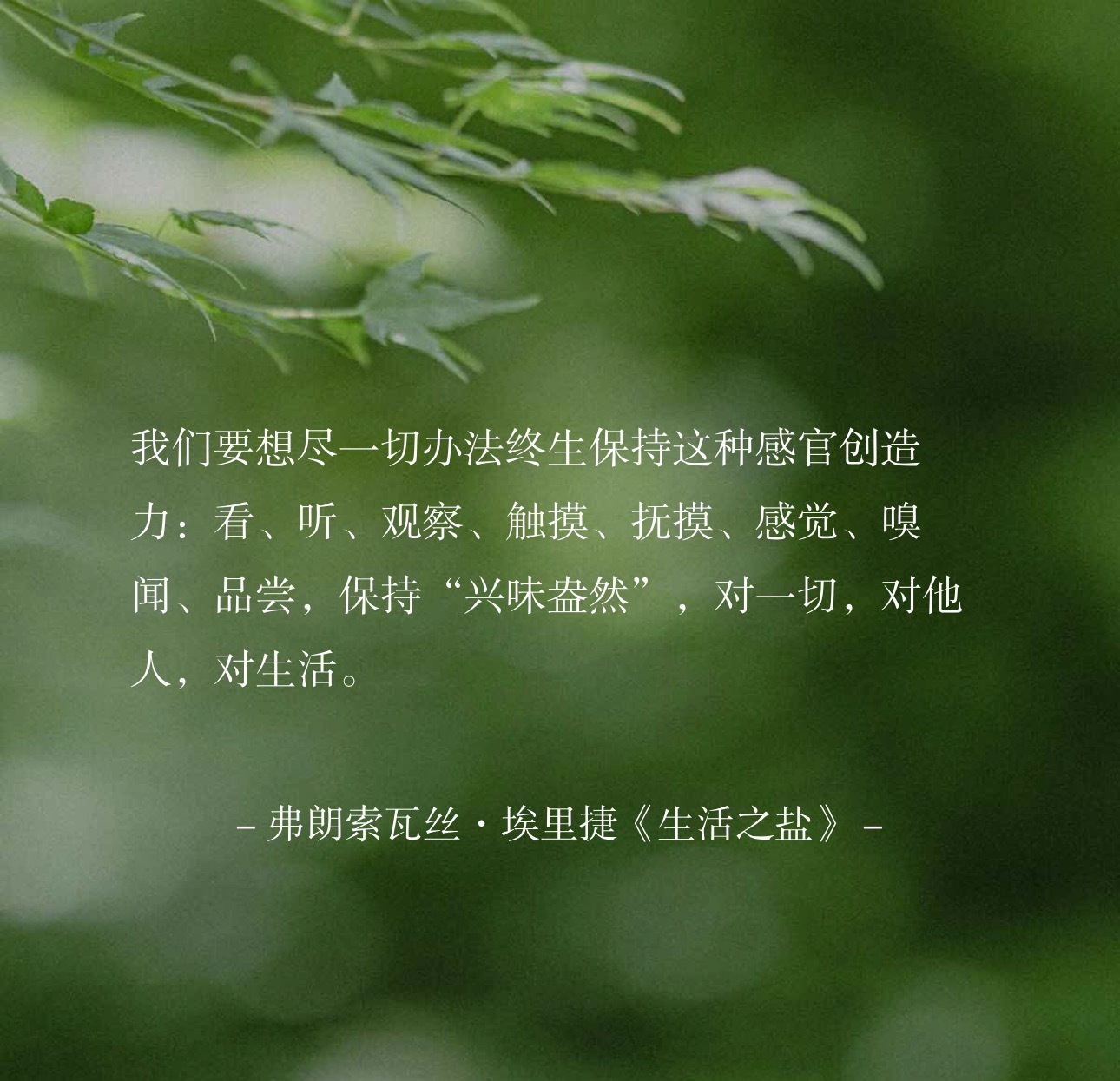 我们要想尽一切办法终生保持这种感官创造力：看、听、观察、触摸、抚摸、感觉、嗅闻、