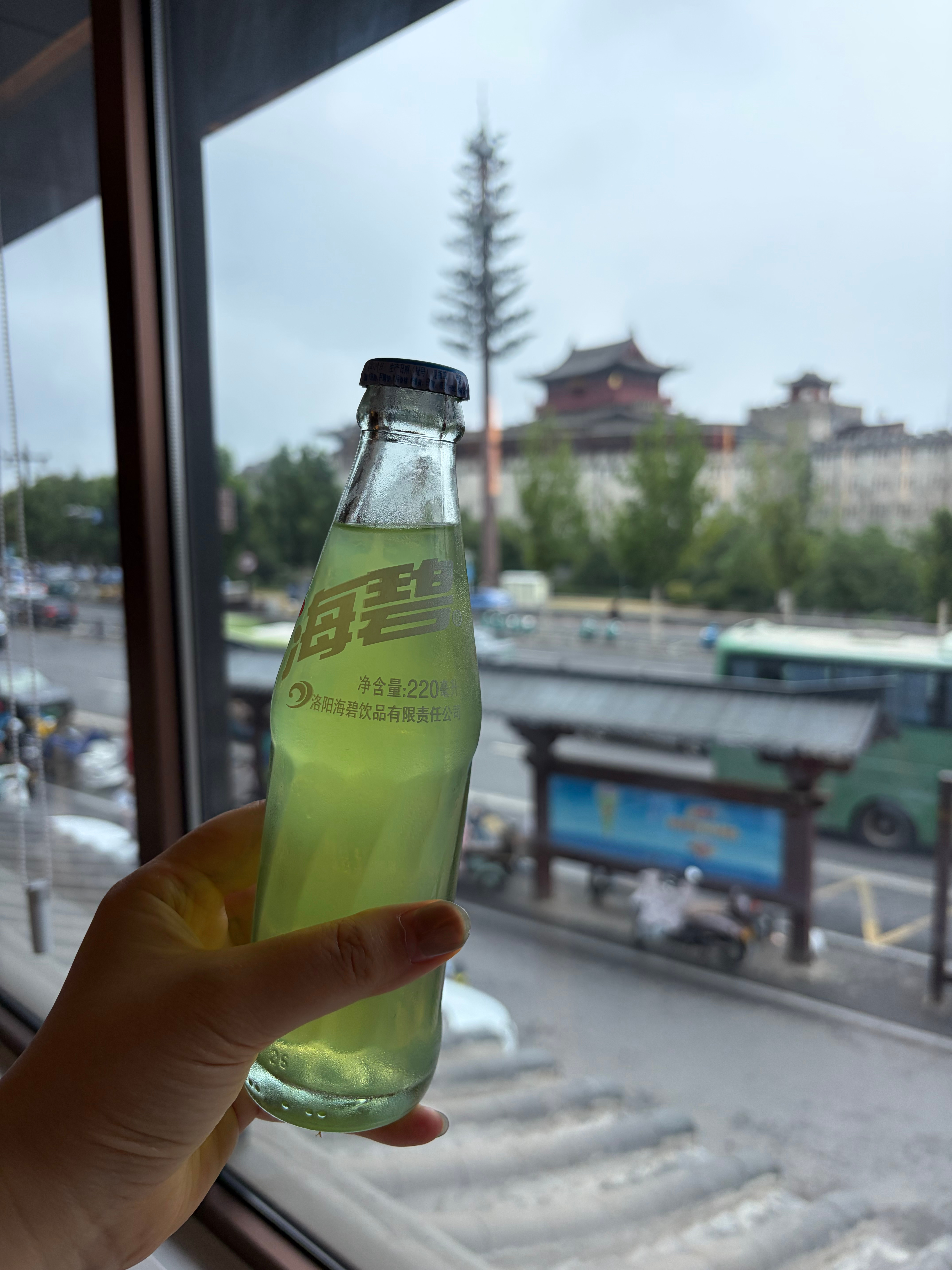 大家端午节快乐呀，有没有吃粽子？跟兜爸在洛阳老城门外吃牛肉汤+粽子，旅游途中浅浅