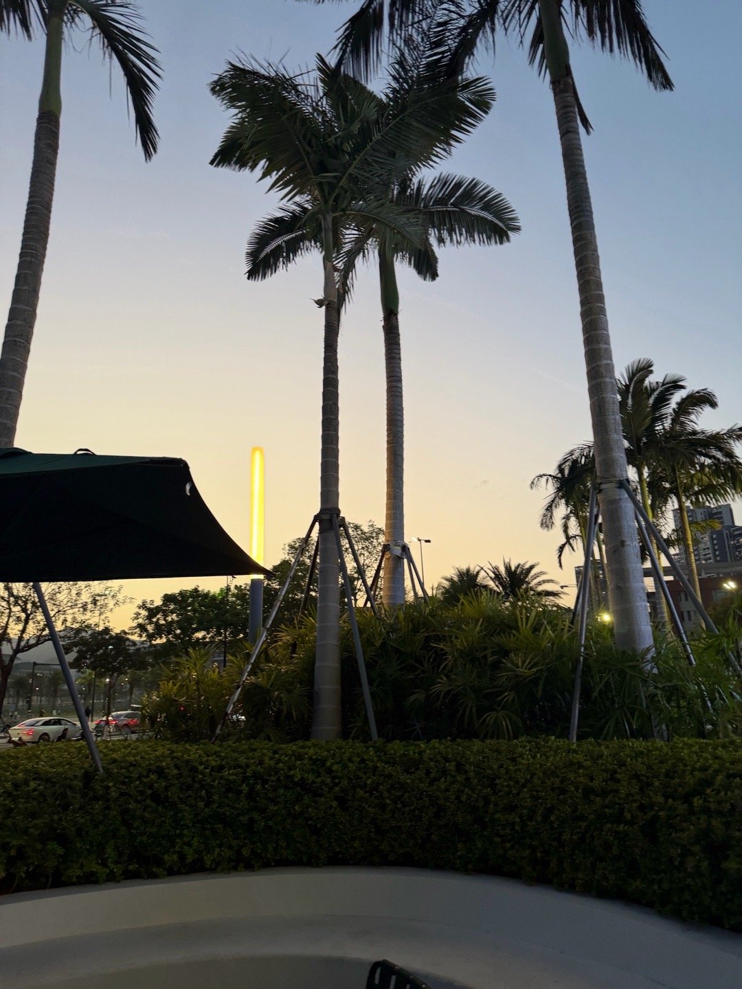 真有种在加州的感觉 