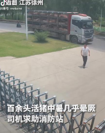 “上人民日报了！”江苏徐州，一男子脸晒得通红，连跑带跳冲进消防站：“同志，我的猪