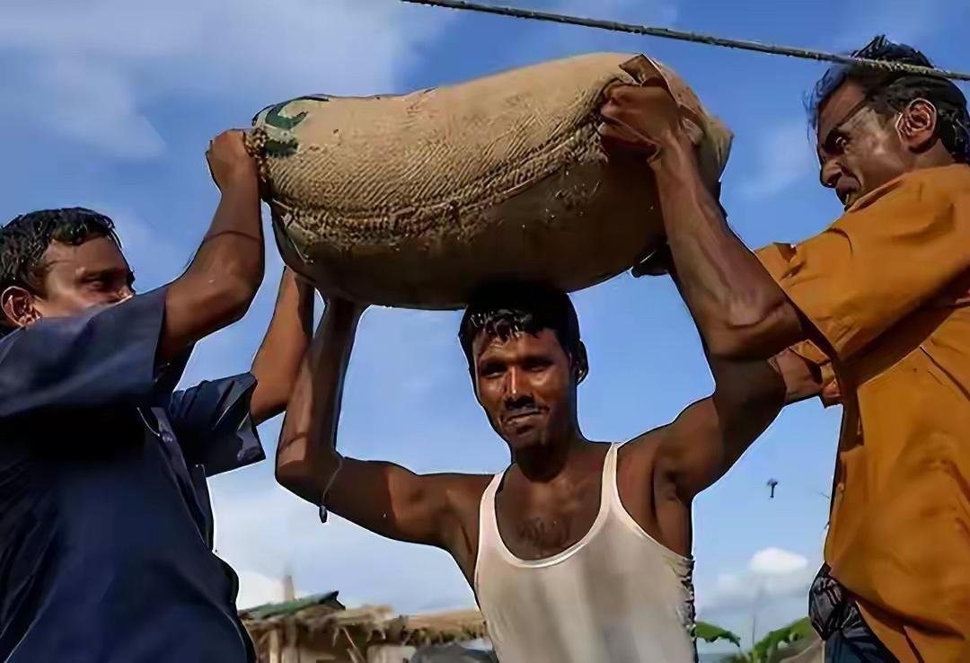 印度惨遭羞辱！250万吨尿素全球招标，竟无人问津，中方集体缺席

这事儿发生在2