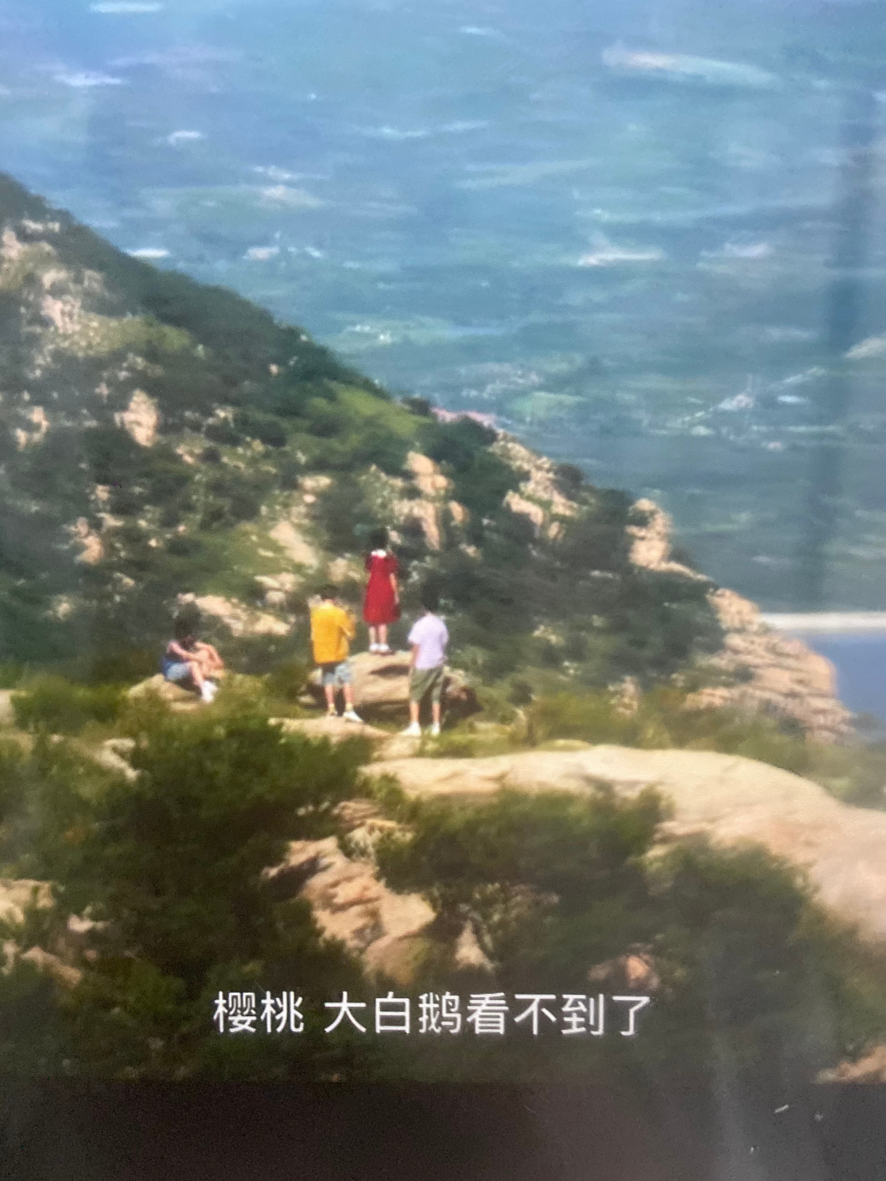 大半夜睡不着我看看看樱桃琥珀到底怎么样 ​​​