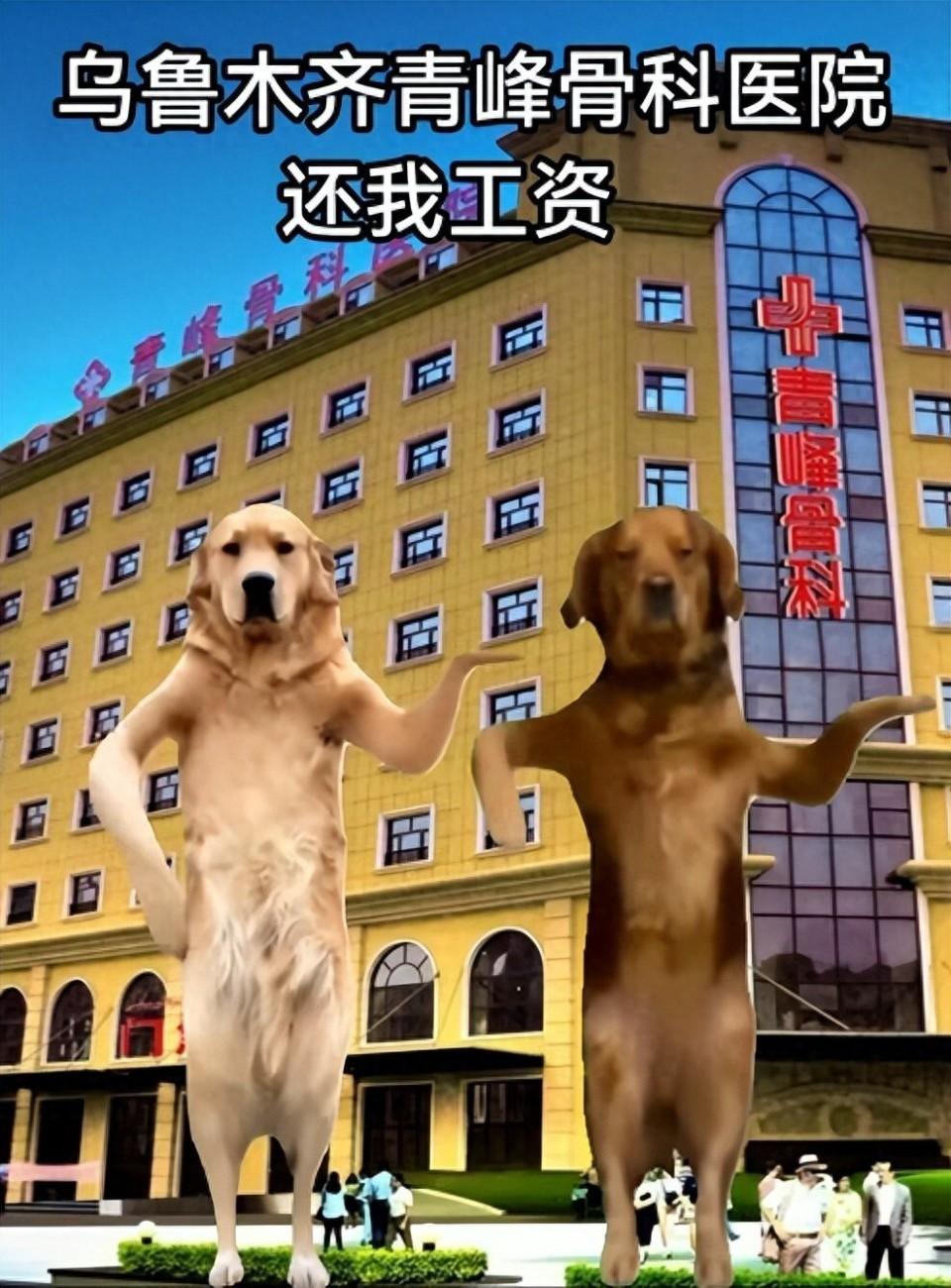 被逼疯，豁出去了！
2026年2月2日，陕西大风新闻消息，新疆乌鲁木齐一网友因被