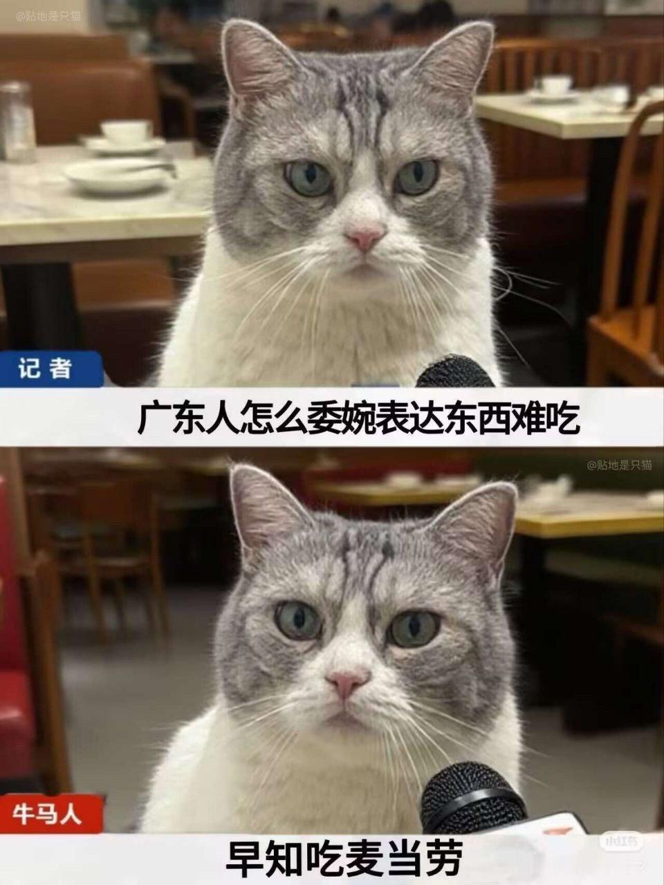 真这样说过 ​​​