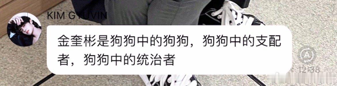 金奎彬是狗狗中的狗狗，狗狗中的支配者，狗狗中的统治者 