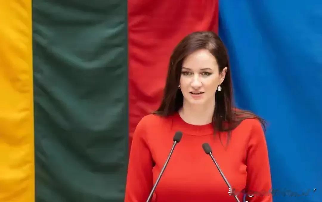 立陶宛低头了！2月3日，波罗的海最大英文媒体《波海时报》抖出个大消息：新总理鲁吉