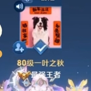 卧槽这个乐乐xx 