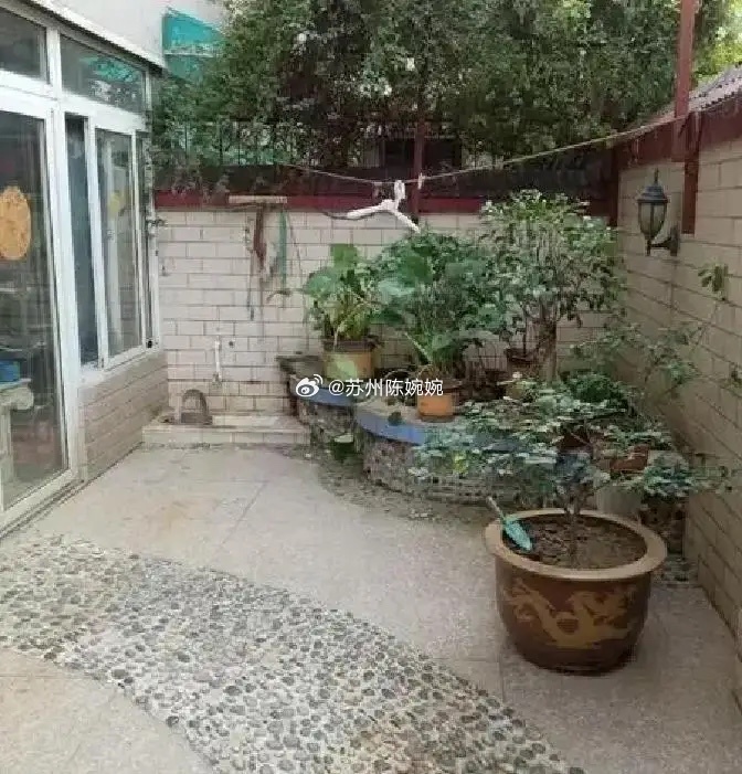 一个离异女人咬牙买了套没人要的老破小，一楼带院子，总价三十万，前房东全家笑她是冤