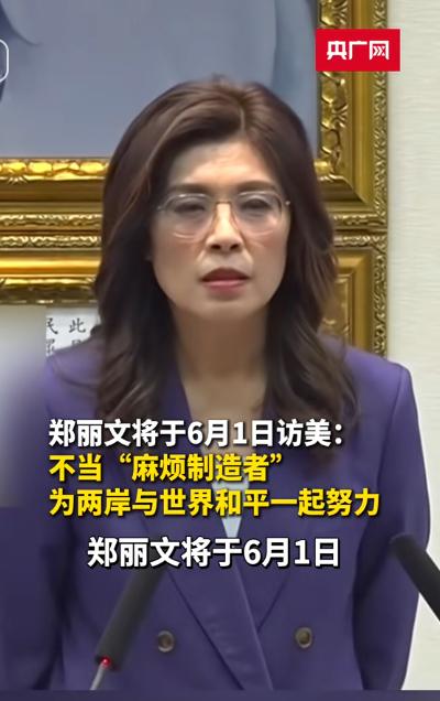 她要从台湾飞美国，行程排了整整半个月，横跨东西海岸，去华盛顿、纽约、波士顿、洛杉