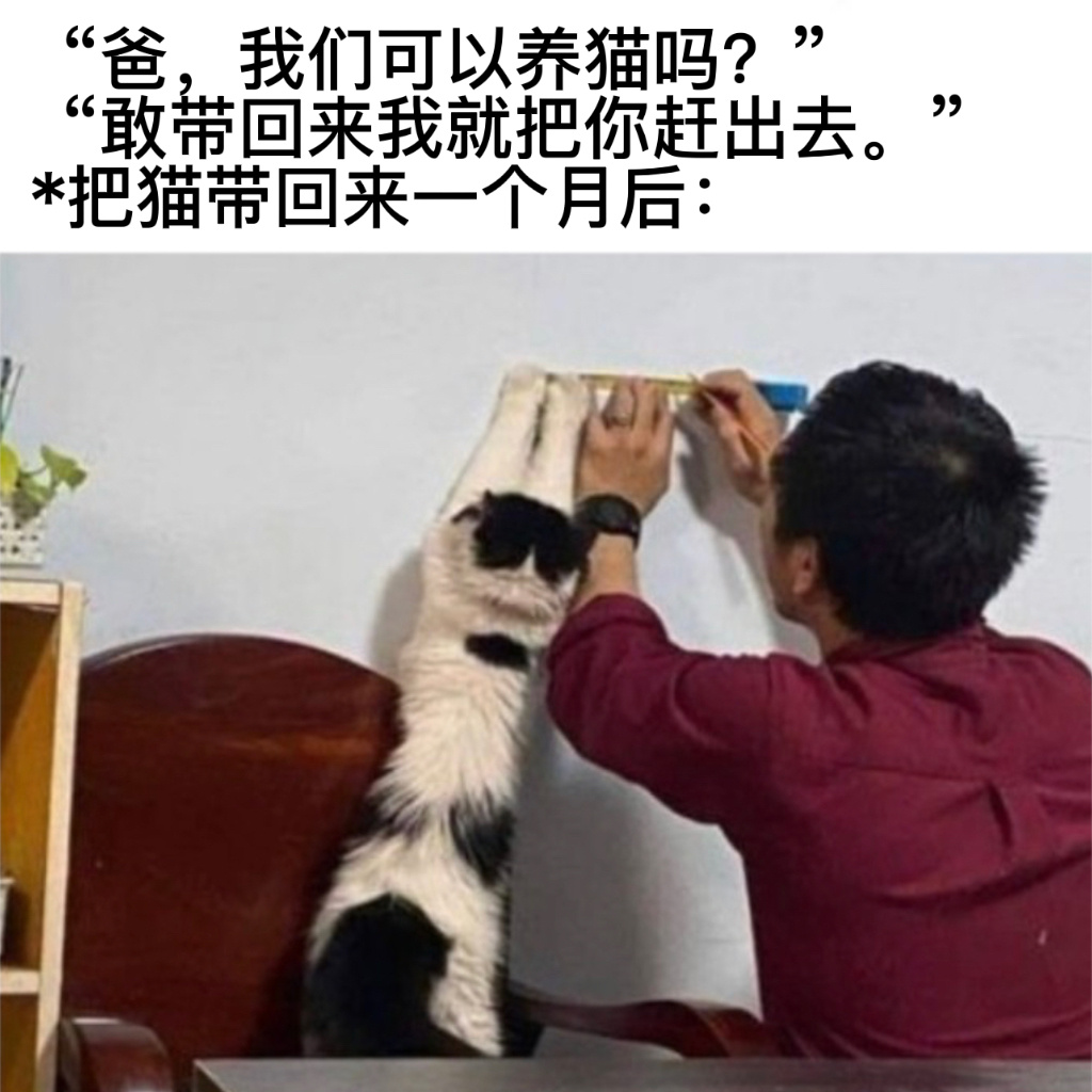 好帮手#今日memes# //#我的春日狂欢日记# ​​​