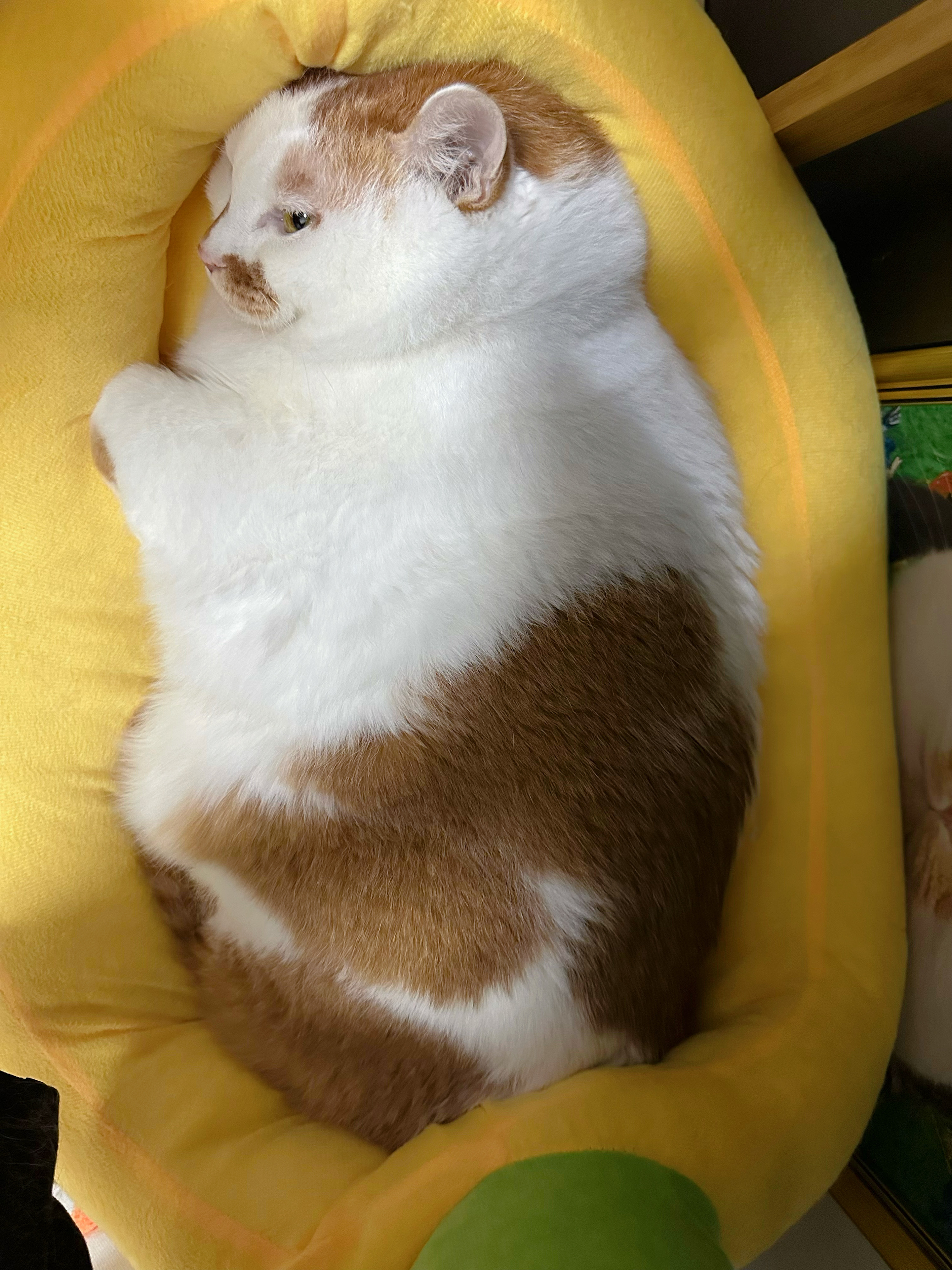 周末适合赖床