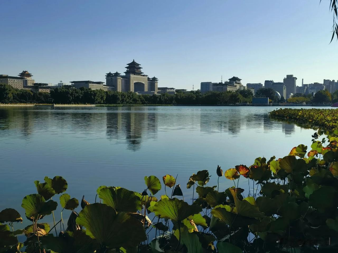 莲花池公园里感受秋的气息——秋高气爽，万里无云，人们沐浴在秋风里，有唱的，有跳的