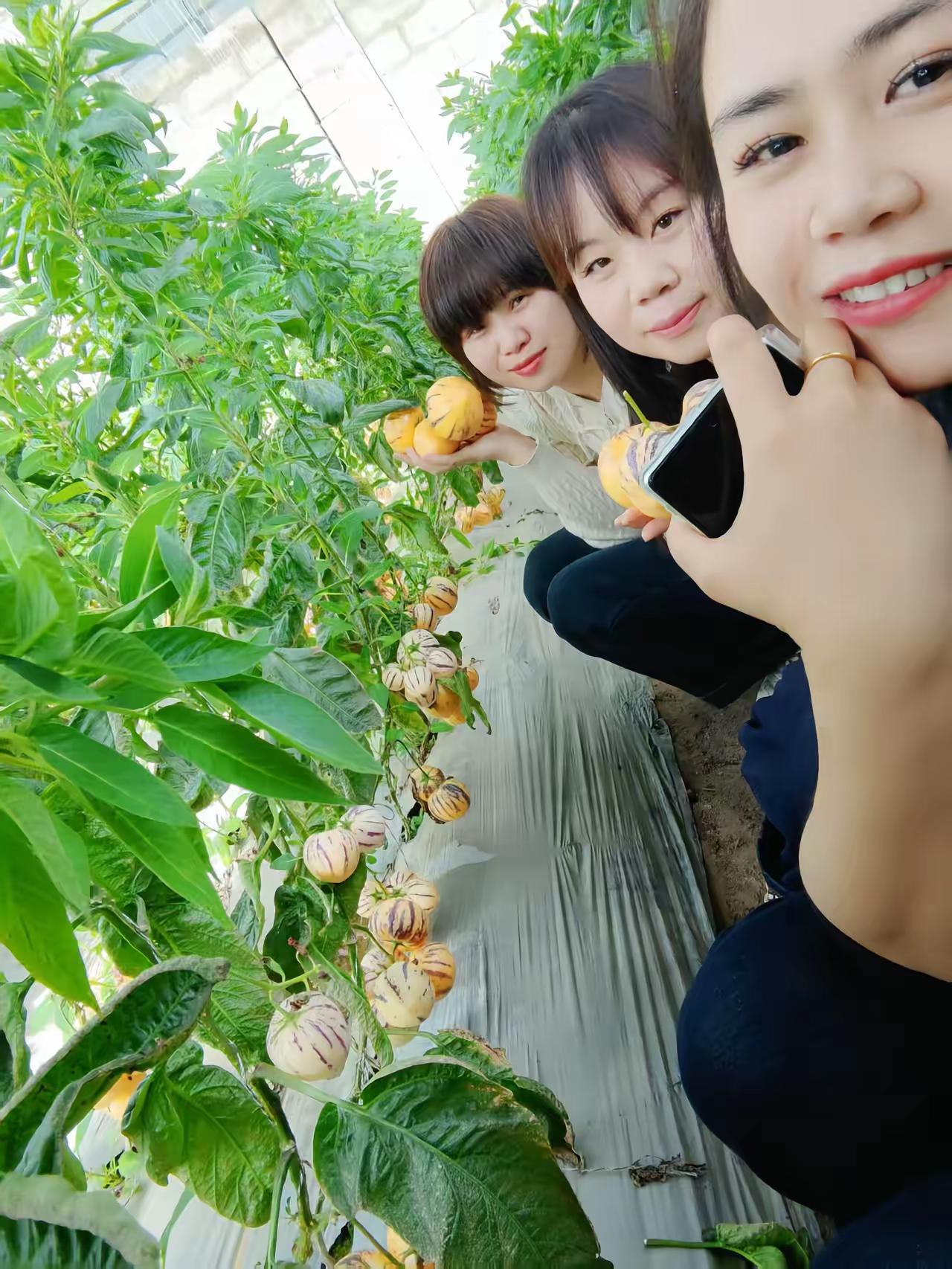 都美美的一天 最可爱的我们