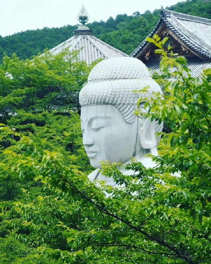 转运大佛，刷到请不要无视，真的很灵。🙏    