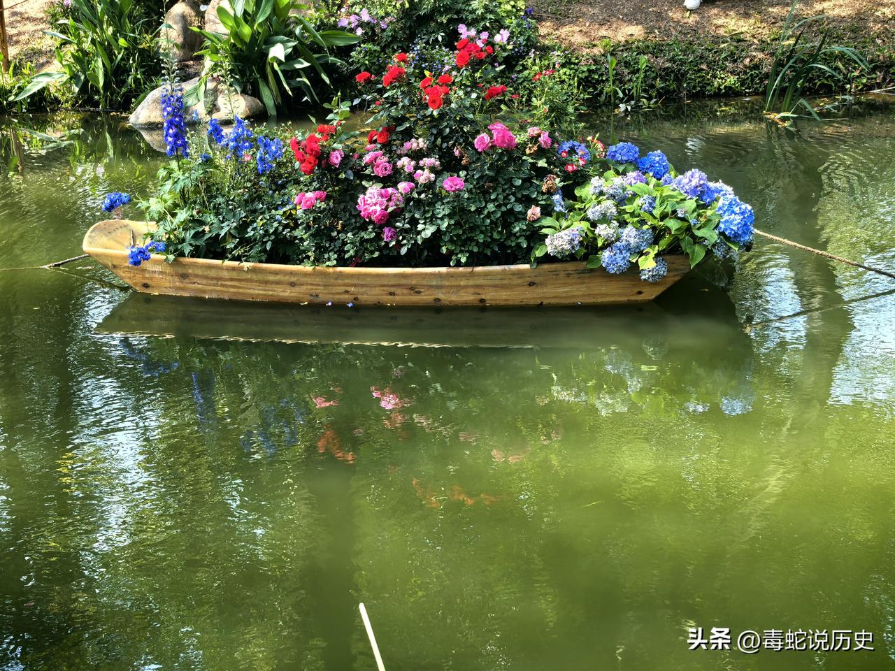 分享一张花朵照片今年人民公园月季花展比去年规模小、人气少，整体略显敷衍。希望明年