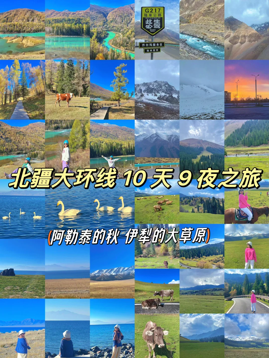 新疆旅游攻略｜10天9夜北疆之旅‼️不踩雷攻略