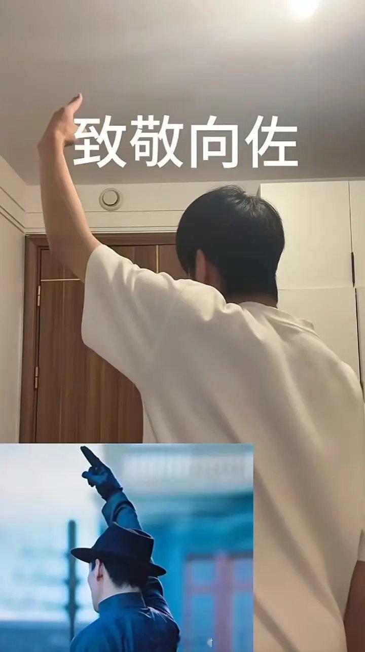 男向佐 女叶珂这些天的快乐都是向佐给的，怎么一觉起来大家都在模仿他演技啊？我看着