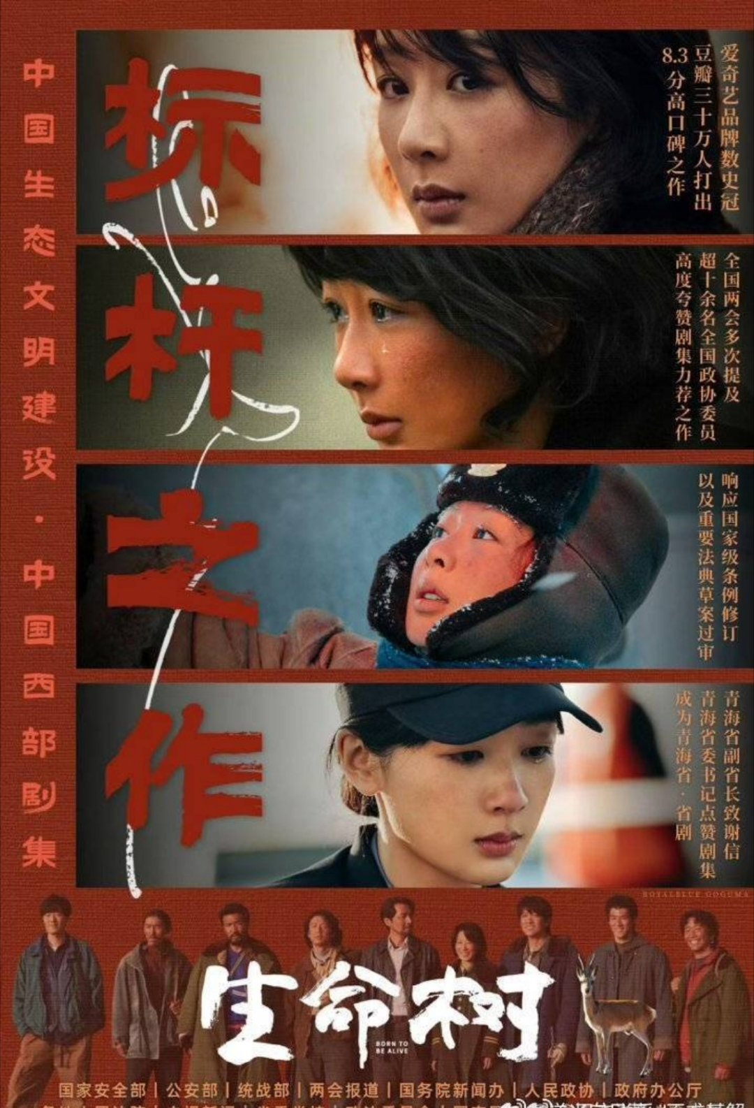 曝杨紫获奖可能性最大这不很正常嘛，杨紫每年都有好作品输出，流量演技两手抓 