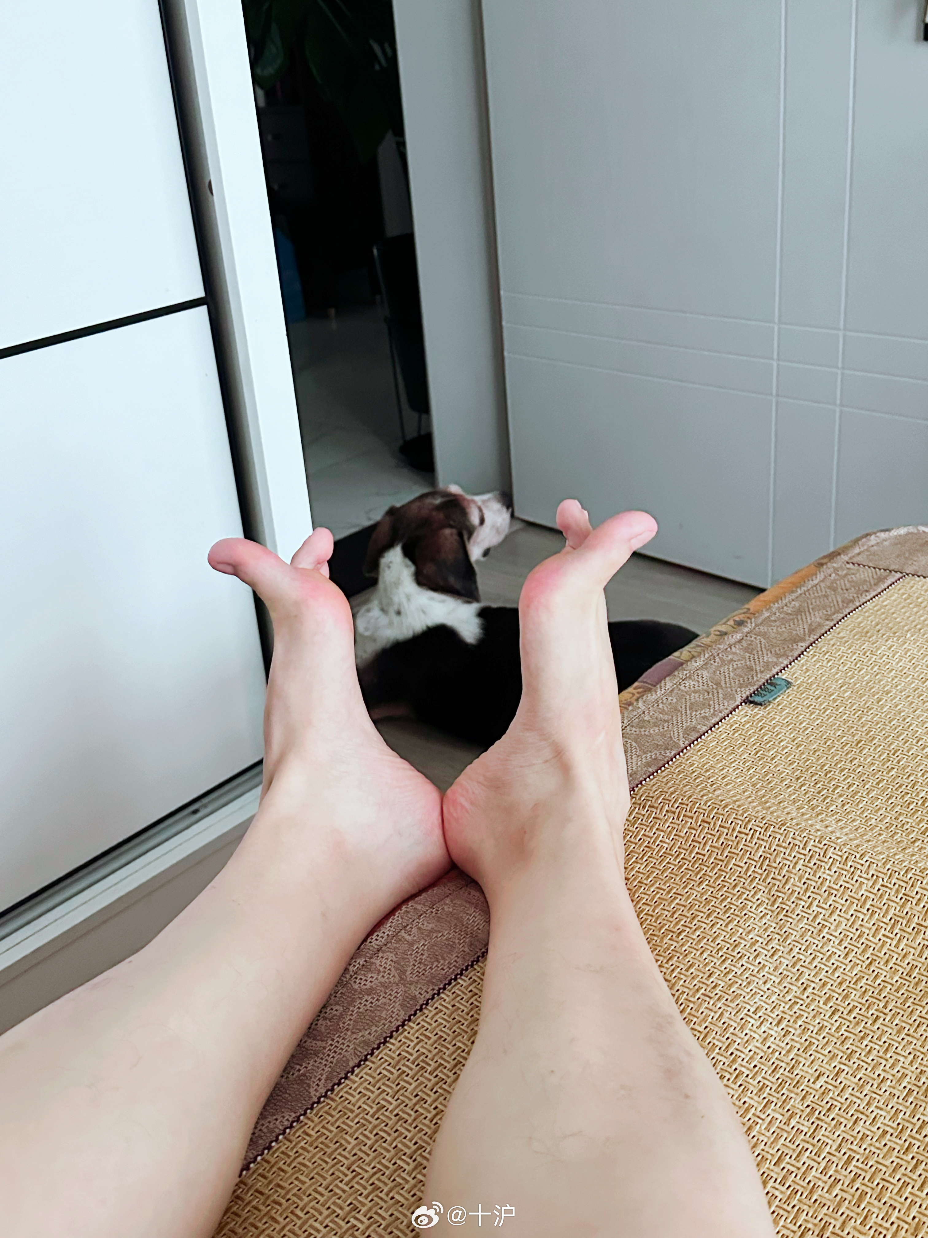 这次台风影响还真是持久，谁扛得住啊，床都不用下了～（感觉以后“台风天居家办公”都