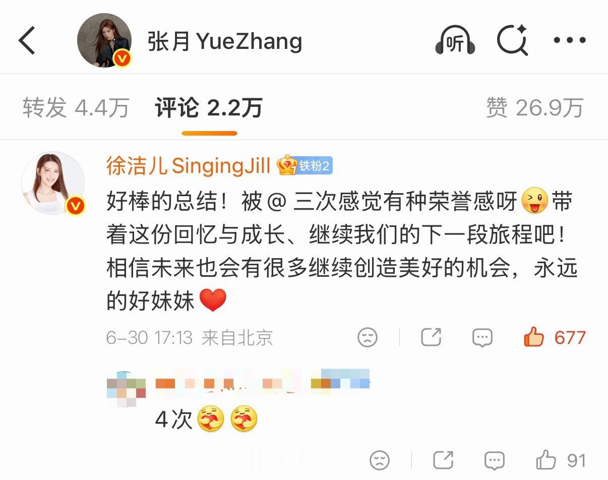 不好意思啊摄政王老花 