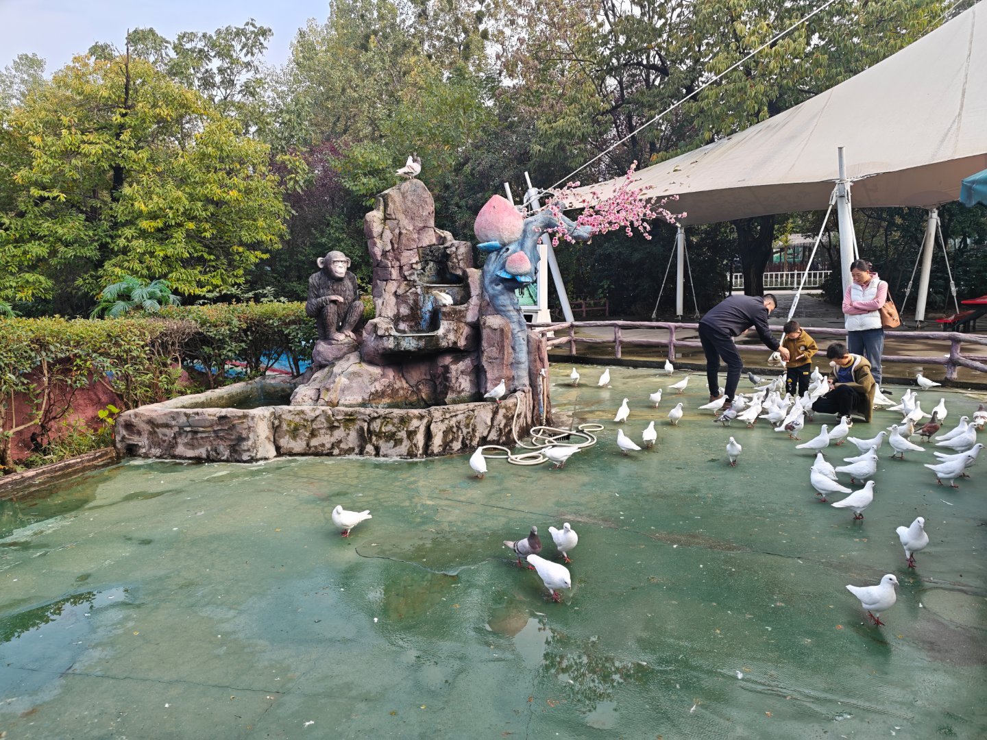 peace and love,bye  ​​​